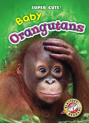 Book cover for Baby Orangutans