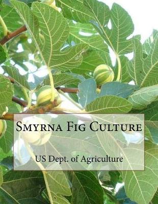 Book cover for Smyrna Fig Culture