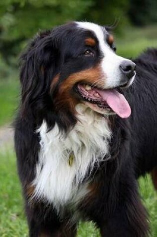 Cover of Bernese Mountain Dog Journal