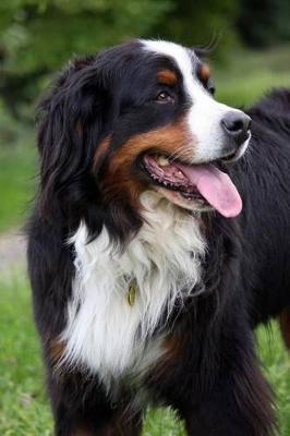 Book cover for Bernese Mountain Dog Journal