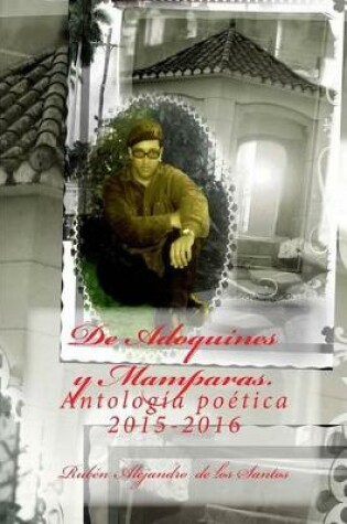 Cover of de Adoquines Y Mamparas