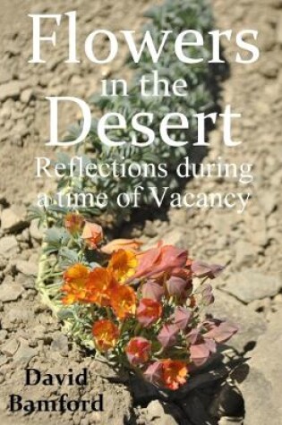 Cover of Flowers in the Desert:  Reflections during a time of Vacancy