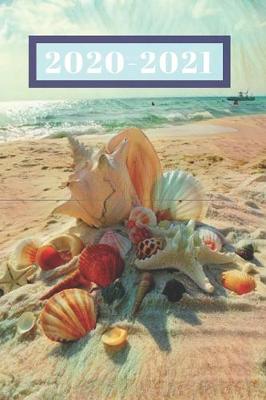 Book cover for Sunny Beach Lover's Peach Sea Shells on the Shore Dated Weekly 2 year Calendar Planner