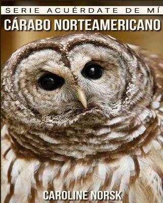 Book cover for Carabo norteamericano