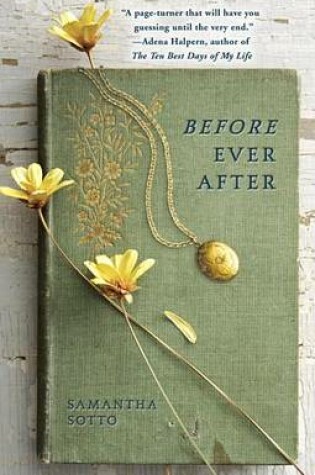 Cover of Before Ever After