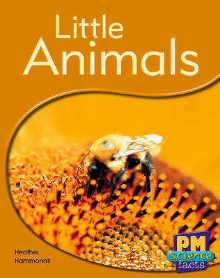 Book cover for Little Animals