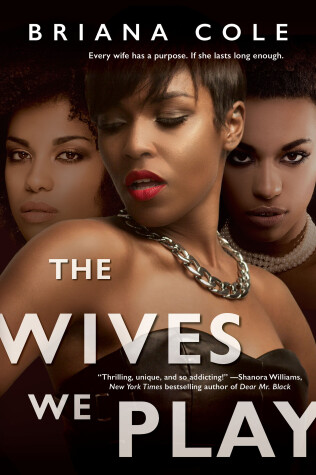 Book cover for The Wives We Play