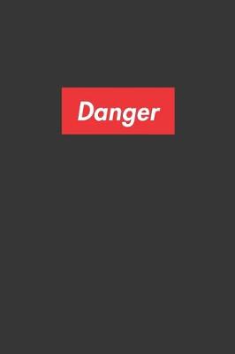 Book cover for Danger Notebook