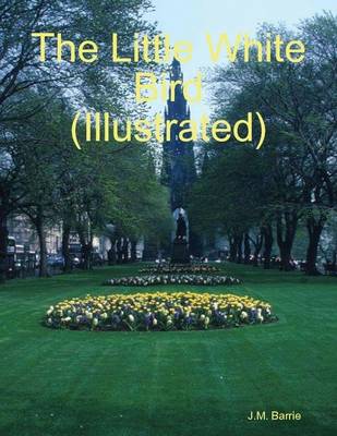 Book cover for The Little White Bird