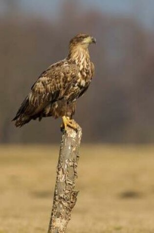 Cover of White Tailed Eagle Journal