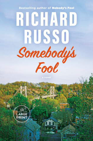 Book cover for Somebody's Fool