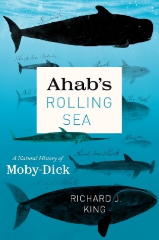 Cover of Ahab's Rolling Sea