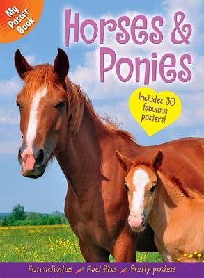 Book cover for My Poster Book: Horses & Ponies