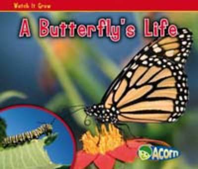 Cover of A Butterfly's Life