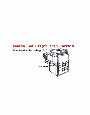 Book cover for Controlled Flight Into Terrain