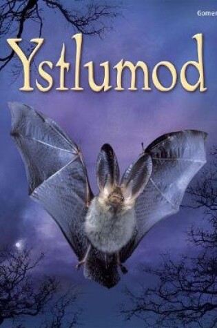 Cover of Cyfres Dechrau Da: Ystlumod