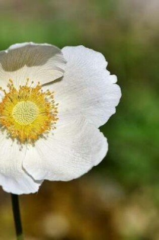 Cover of Anemone Notebook