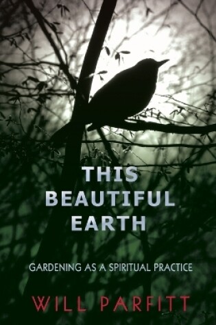 Cover of This Beautiful Earth