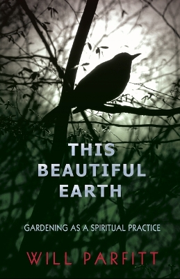 Book cover for This Beautiful Earth