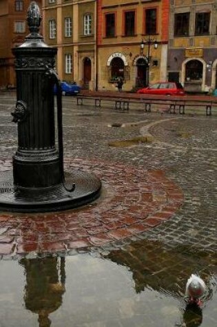 Cover of Antique Water Pump in Warsaw, Poland Journal