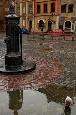 Book cover for Antique Water Pump in Warsaw, Poland Journal