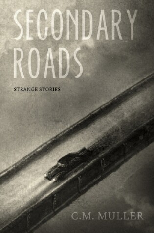 Cover of Secondary Roads