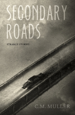 Book cover for Secondary Roads