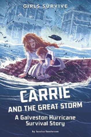 Cover of Carrie and the Great Storm