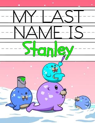 Book cover for My Last Name is Stanley