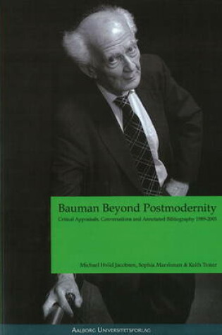 Cover of Bayman Beyond Postmodernity