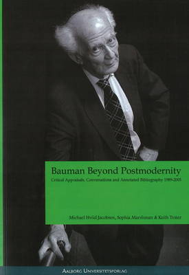 Book cover for Bayman Beyond Postmodernity