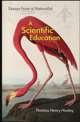 Cover of A Scientific Education