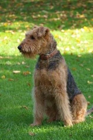 Cover of Airedale Terrier Notebook