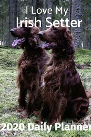 Cover of I Love My Irish Setter