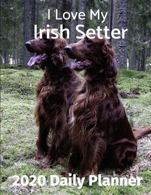 Book cover for I Love My Irish Setter