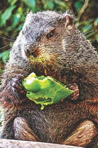 Cover of Cute Beaver Eating in the Wild