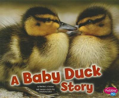 Book cover for Baby Animals Baby Duck Story