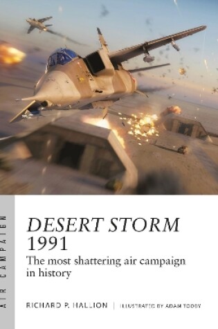 Cover of Desert Storm 1991