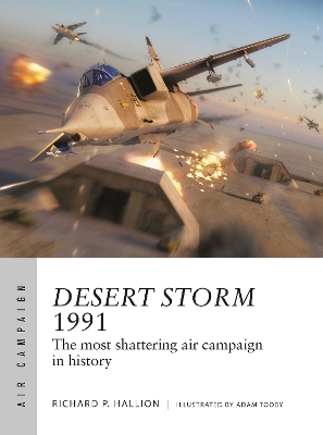 Book cover for Desert Storm 1991