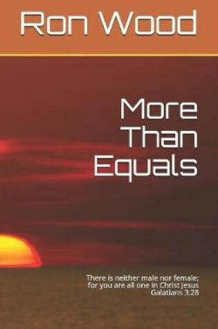 Cover of More Than Equals