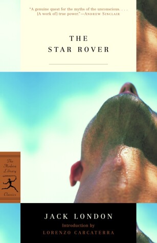 Book cover for The Star Rover