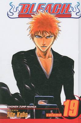 Cover of Bleach, Volume 19