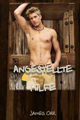 Book cover for Angestellte Hilfe