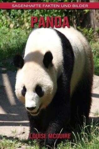 Cover of Panda