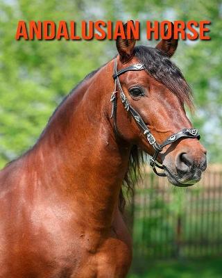 Book cover for Andalusian Horse