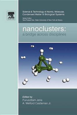 Cover of Nanoclusters