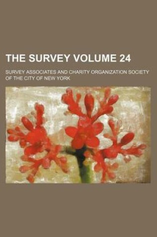 Cover of The Survey Volume 24