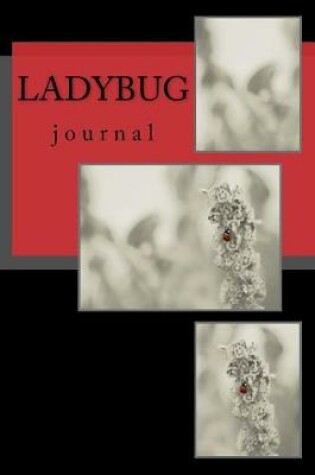 Cover of Ladybug