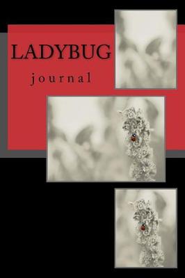 Book cover for Ladybug