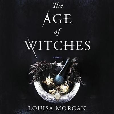 Book cover for The Age of Witches